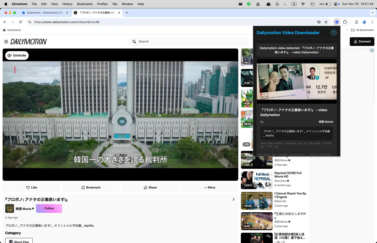 Dailymotion Video Downloader browser extension screenshot 3