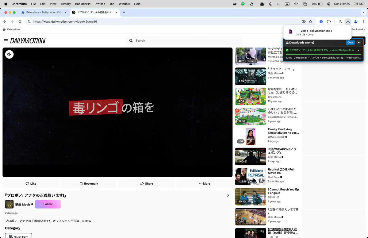 Dailymotion Video Downloader browser extension screenshot 4